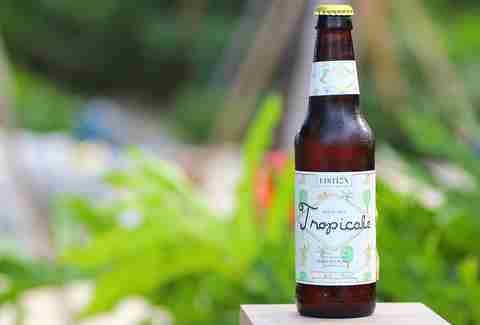 Tropicale at Edition MIami Beach