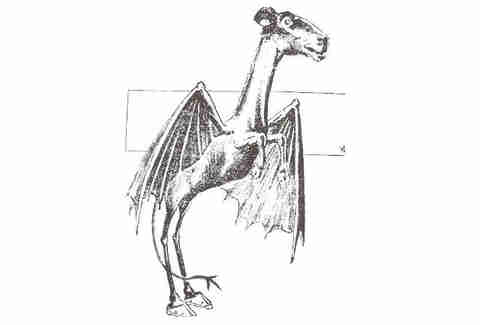 The Jersey Devil
