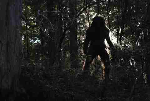 bigfoot