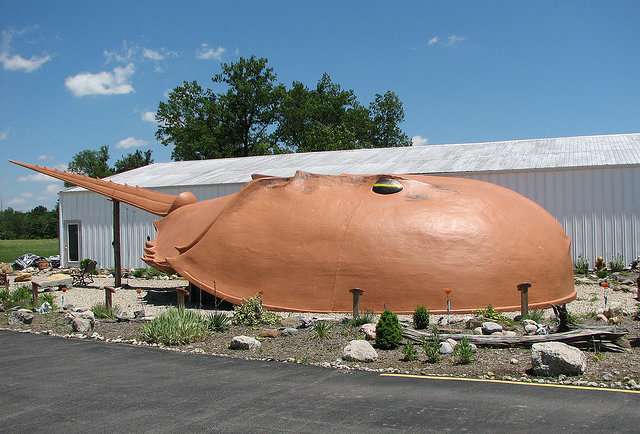 Weird Roadside Attractions - Strangest Road Trip Sights