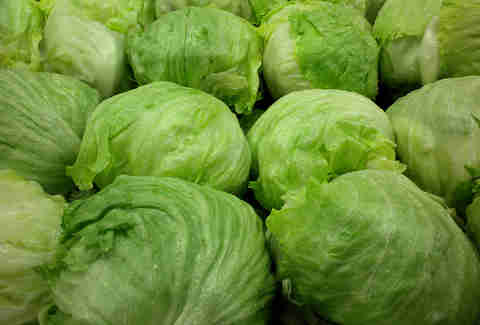 iceberg lettuce