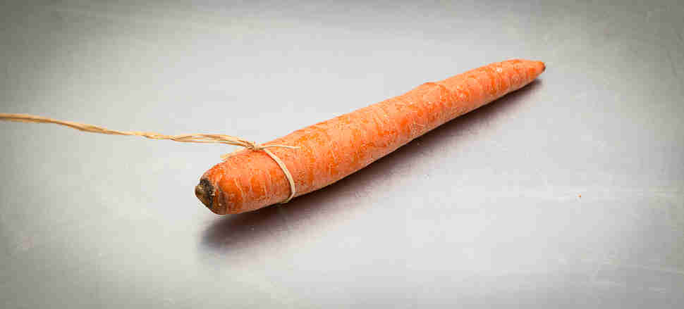 carrot