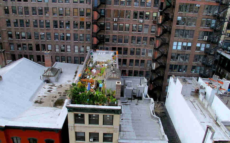 rooftop party