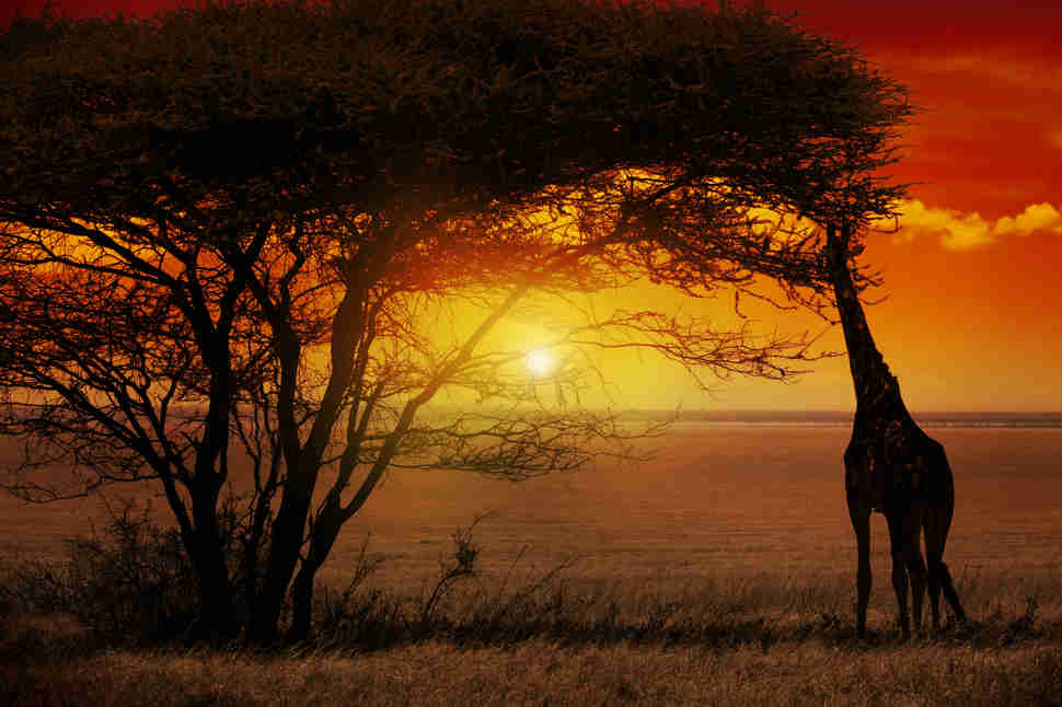 Kruger National Park