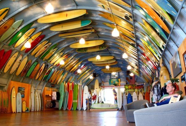 Bird's Surf SHED