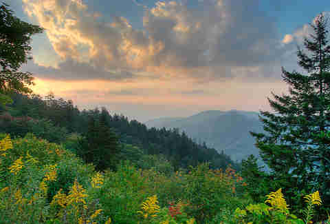 Great Smoky Mountain Nat'l Park