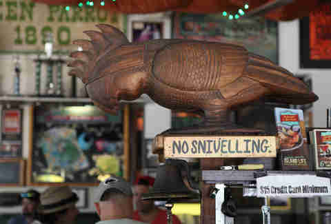 Green Parrot Bar