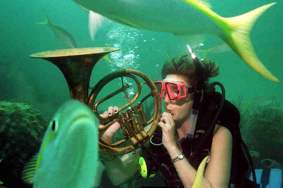 Underwater music
