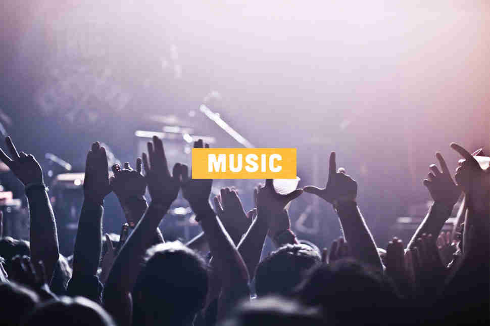 Concert audience