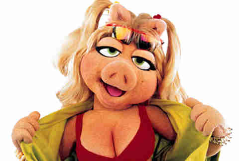 Spamela