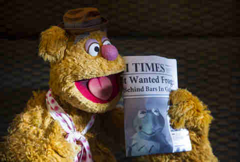 Fozzie