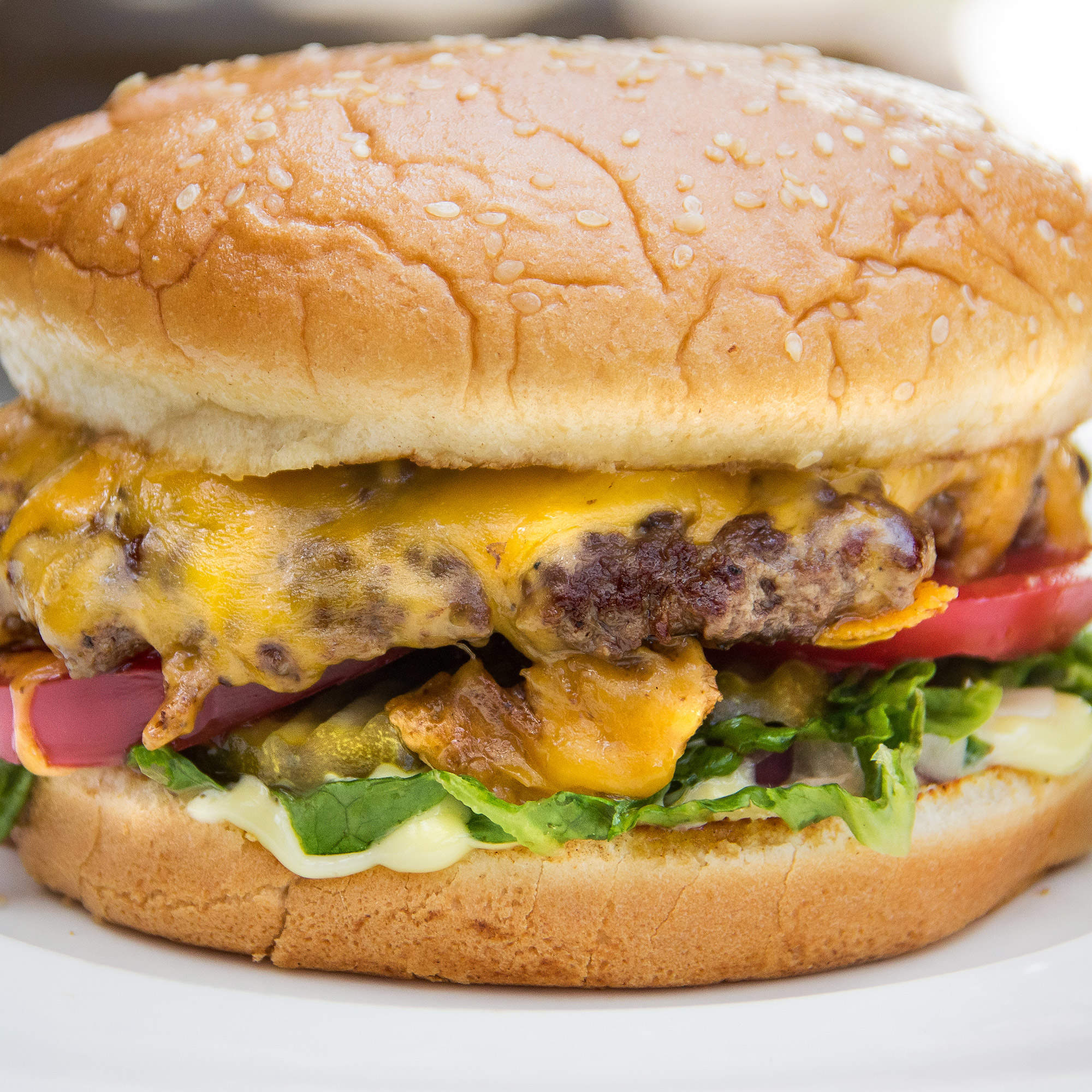 The 33 Best Burgers In America 2015 