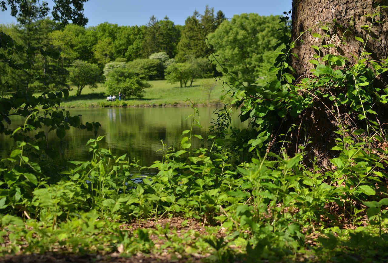 The 10 Best Nature Spots in Chicago