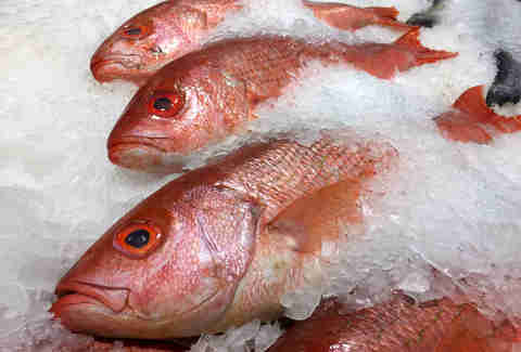 Red snapper -- Thrillist Recipes