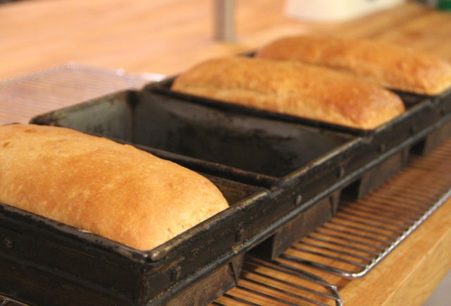 Angel Food Bakery & Coffee Bar