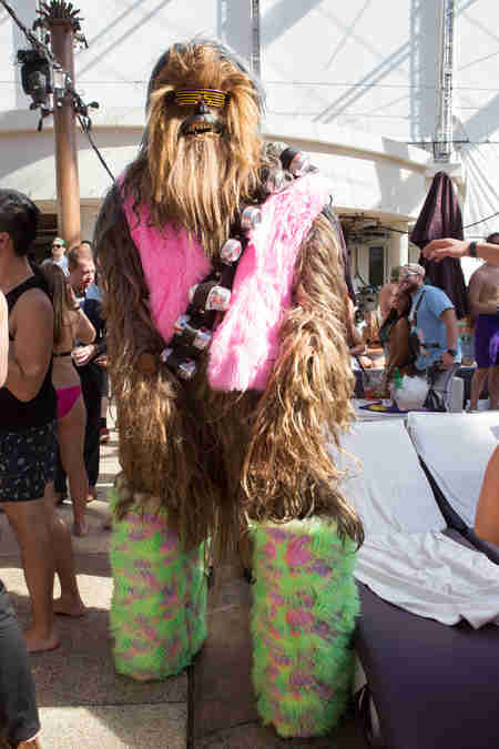 Chewbacca