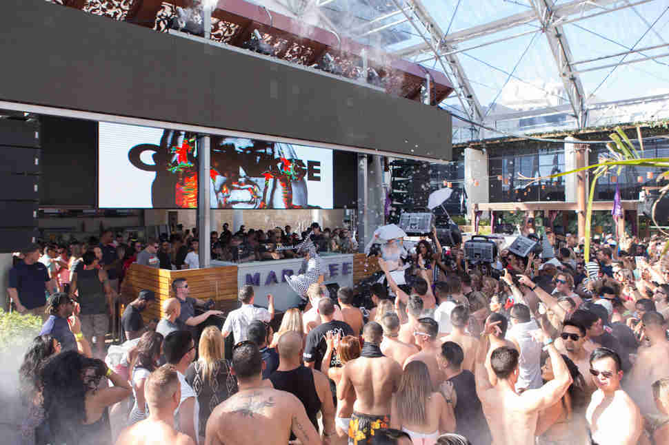 Carnage crowd shot