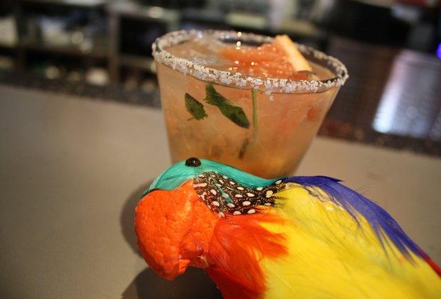 Denver: The Sabio de Oaxaca at Aji