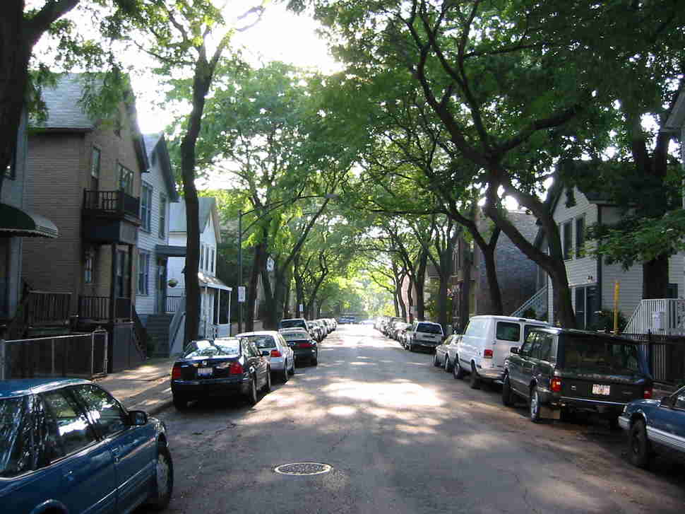 Houses in Old Town