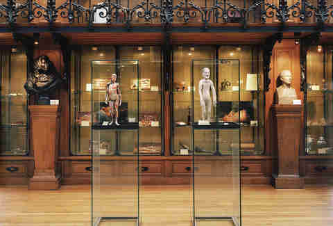 Musée d'histoire de la médecine Museum of Medical History