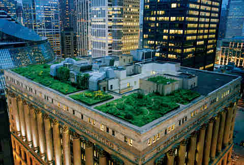 Chicago City Hall rooftop garden