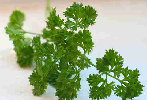fresh parsley