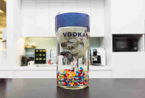Alcohol Bottle Fish Tank