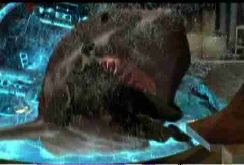 Deep Blue Sea Samuel L. Jackson