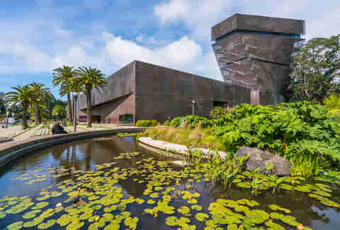 de young