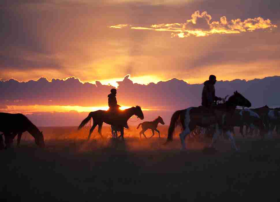 Horses Sunset National Geographic