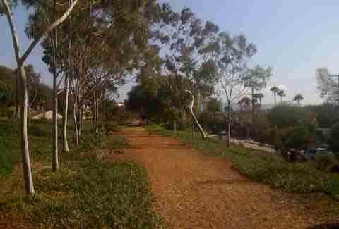 Veterans Parkway in L.A.