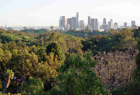 Elysian Park in L.A.