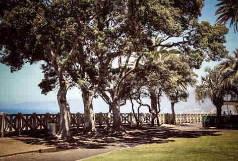 Palisades Park in L.A.