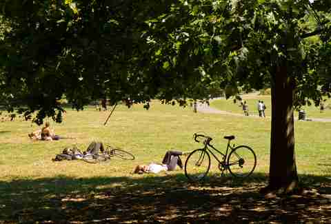 Prospect Park