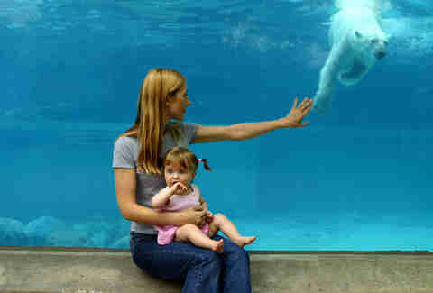 Lincoln Park Zoo