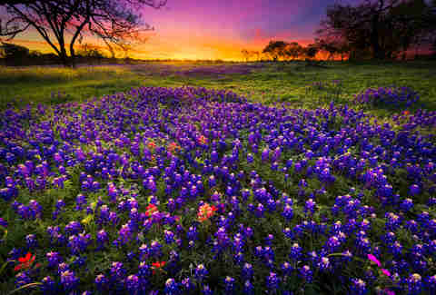 Texas Hill Country