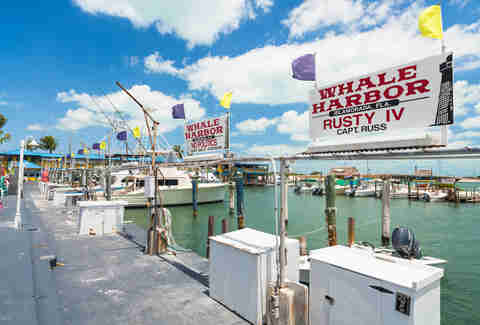Islamorada, FL