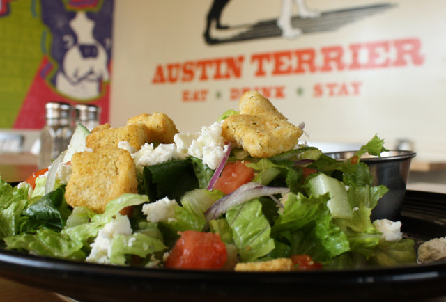 Austin Terrier