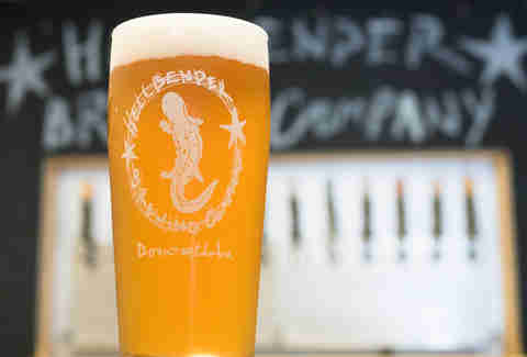 Hellbender Brewing beer