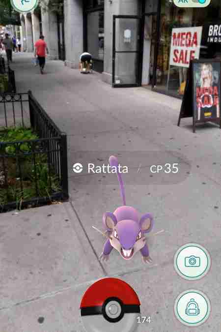 Pokemon Go Rattata on the street