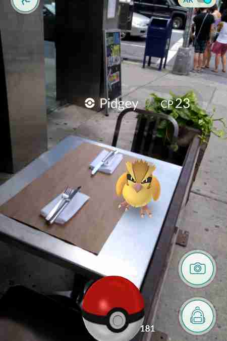 Pidgey in Pokemon Go