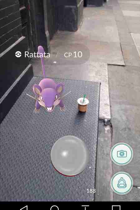 pokemon go