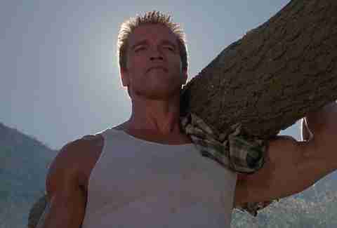 Commando Arnold Forest