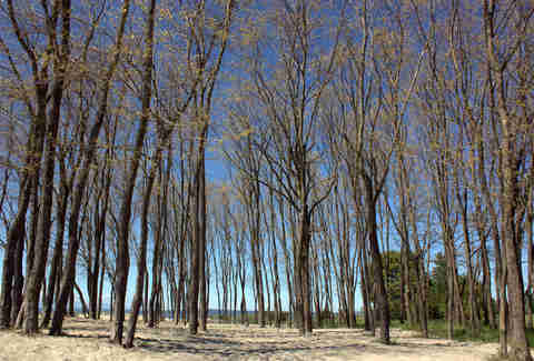 golden gardens park
