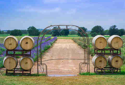 Fredericksburg Texas