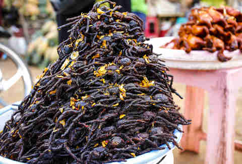 fried tarantula in Cambodia