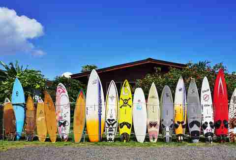 surfboards