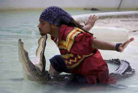 alligator wrestling