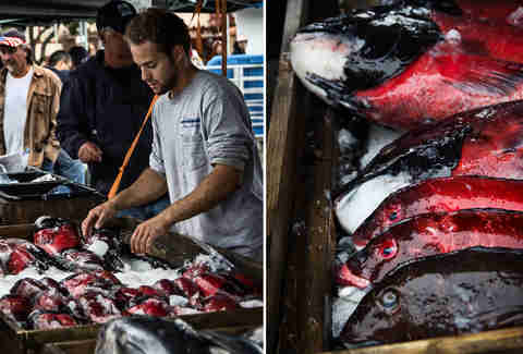 Tuna Harbor Dockside Market