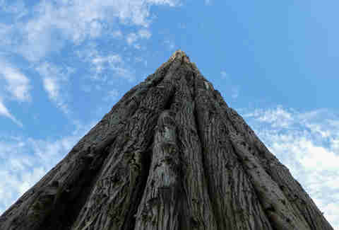 Andy Goldsworthy's Spire